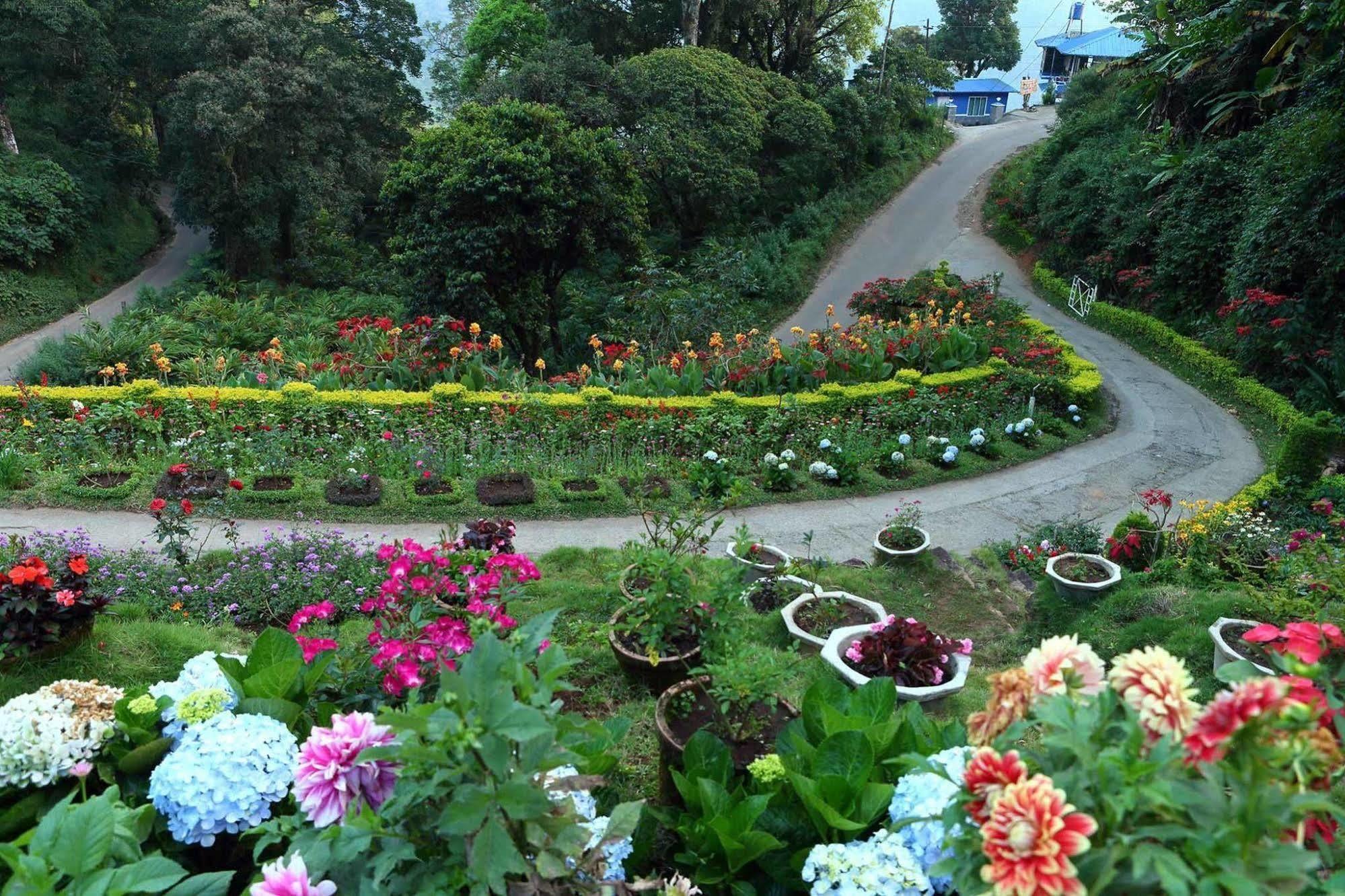 Olive Brook Hotel Munnar Ngoại thất bức ảnh